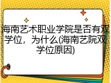 海南艺术职业学院是否有双学位，为什么(海南艺院双学位原因)