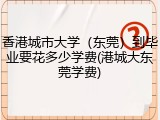 香港城市大学（东莞）到毕业要花多少学费(港城大东莞学费)