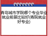 青岛城市学院哪个专业毕业就业前景比较好(青院就业好专业)