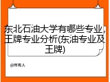 东北石油大学有哪些专业，王牌专业分析(东油专业及王牌)