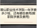 鞍山职业技术学院一年学费多少钱，还有哪些费用(鞍职院学费及费用)