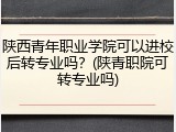 陕西青年职业学院可以进校后转专业吗？(陕青职院可转专业吗)