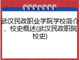 武汉民政职业学院学校简介，校史概述(武汉民政职院校史)