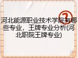 河北能源职业技术学院有哪些专业，王牌专业分析(河北职院王牌专业)