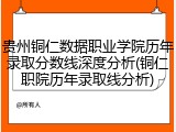 贵州铜仁数据职业学院历年录取分数线深度分析(铜仁职院历年录取线分析)