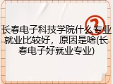 长春电子科技学院什么专业就业比较好，原因是啥(长春电子好就业专业)