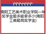 南阳工艺美术职业学院一年奖学金最多能拿多少(南阳工美最高奖学金)