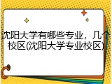 沈阳大学有哪些专业，几个校区(沈阳大学专业校区)