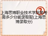 上海思博职业技术学院高考需多少分能录取呢(上海思博录取分)