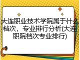 大连职业技术学院属于什么档次，专业排行分析(大连职院档次专业排行)