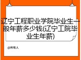 辽宁工程职业学院毕业生一般年薪多少钱(辽宁工院毕业生年薪)