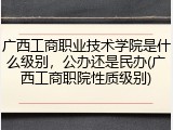 广西工商职业技术学院是什么级别，公办还是民办(广西工商职院性质级别)