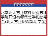 北京北大方正软件职业技术学院开设有哪些奖学和助学金(北大方正职院奖助学金)