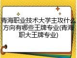 青海职业技术大学主攻什么方向有哪些王牌专业(青海职大王牌专业)