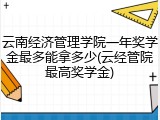 云南经济管理学院一年奖学金最多能拿多少(云经管院最高奖学金)