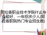 阿拉善职业技术学院什么专业最好，一年招多少人(阿拉善职院热门专业招生数)