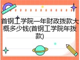 首钢工学院一年财政拨款大概多少钱(首钢工学院年拨款)