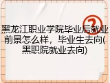 黑龙江职业学院毕业后就业前景怎么样，毕业生去向(黑职院就业去向)