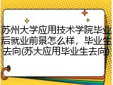 苏州大学应用技术学院毕业后就业前景怎么样，毕业生去向(苏大应用毕业生去向)