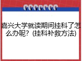 嘉兴大学就读期间挂科了怎么办呢？(挂科补救方法)