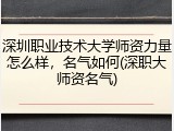 深圳职业技术大学师资力量怎么样，名气如何(深职大师资名气)