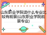 山东职业学院读什么专业比较有前景(山东职业学院前景专业)