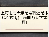 上海电力大学是专科还是本科院校呢(上海电力大学本科)