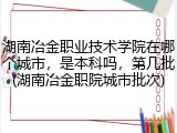 湖南冶金职业技术学院在哪个城市，是本科吗，第几批(湖南冶金职院城市批次)