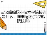 武汉船舶职业技术学院校训是什么，详细阐述(武汉船院校训)