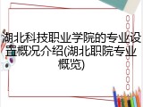 湖北科技职业学院的专业设置概况介绍(湖北职院专业概览)