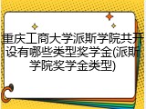 重庆工商大学派斯学院共开设有哪些类型奖学金(派斯学院奖学金类型)