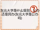 东北大学是什么级别，公办还是民办(东北大学是公办吗)