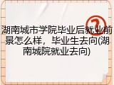 湖南城市学院毕业后就业前景怎么样，毕业生去向(湖南城院就业去向)