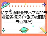辽宁铁道职业技术学院的专业设置概况介绍(辽铁职院专业概况)