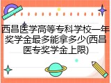 西昌医学高等专科学校一年奖学金最多能拿多少(西昌医专奖学金上限)