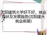 沈阳建筑大学好不好，就业现状及发展趋势(沈阳建大就业前景)