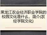 黑龙江农业经济职业学院的校园文化是什么，简介(农经学院文化)