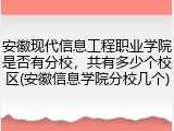 安徽现代信息工程职业学院是否有分校，共有多少个校区(安徽信息学院分校几个)