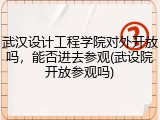 武汉设计工程学院对外开放吗，能否进去参观(武设院开放参观吗)