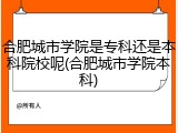 合肥城市学院是专科还是本科院校呢(合肥城市学院本科)