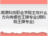 湘潭科技职业学院主攻什么方向有哪些王牌专业(湘科院王牌专业)
