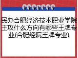民办合肥经济技术职业学院主攻什么方向有哪些王牌专业(合肥经院王牌专业)