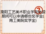 南阳工艺美术职业学院就读期间可以申请哪些奖学金(南工美院奖学金)