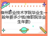 宿州职业技术学院毕业生一般年薪多少钱(宿职院毕业生年薪)