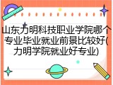 山东力明科技职业学院哪个专业毕业就业前景比较好(力明学院就业好专业)