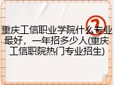 重庆工信职业学院什么专业最好，一年招多少人(重庆工信职院热门专业招生)