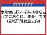 贵州城市职业学院毕业后就业前景怎么样，毕业生去向(贵城职院就业去向)