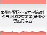 泉州经贸职业技术学院读什么专业比较有前景(泉州经贸热门专业)