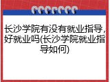 长沙学院有没有就业指导，好就业吗(长沙学院就业指导如何)