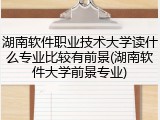 湖南软件职业技术大学读什么专业比较有前景(湖南软件大学前景专业)